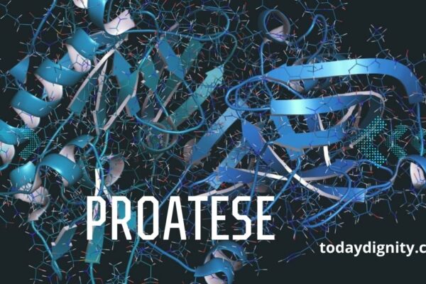 Proatese