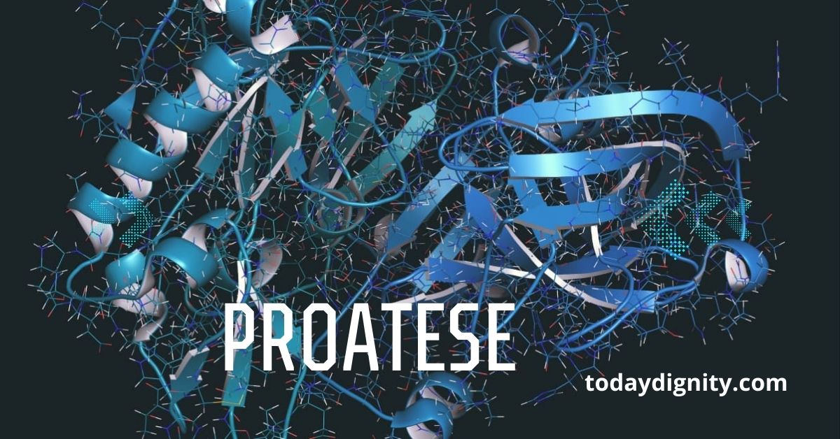 Proatese