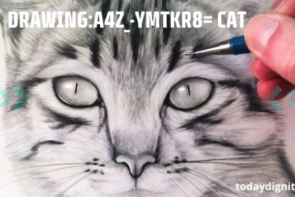 Drawing:A4z_-Ymtkr8= Cat