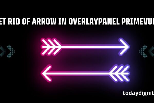 Get Rid of Arrow in OverlayPanel PrimeVue