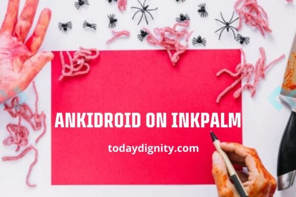 AnkiDroid on InkPalm: Revolutionizing Learning with E-Ink Technology AnkiDroid on InkPalm